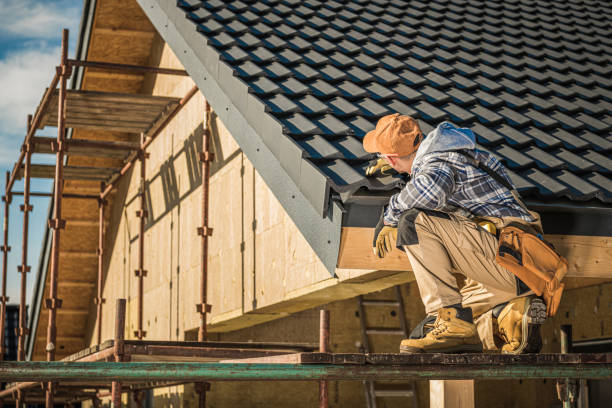 Best Sheet Metal Roofing  in Moapa Valley, NV